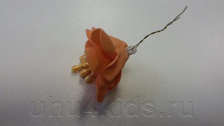 �������� ����� �� ��������� ������ ������